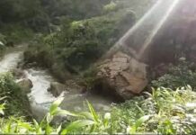 পর্যটকদের কাছে নিঃসন্দেহে প্রিয় ঠিকানা পাশাবং