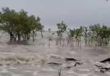 প্রবল বৃষ্টিপাত আর জলোচ্ছ্বাসের আতঙ্কে সুন্দরবনবাসী