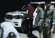 বাসন্তীতে এসটিএফ এর জালে ২ তৃণমূল নেতা,উদ্ধার বিপুল পরিমাণ আগ্নেয়াস্ত্র
