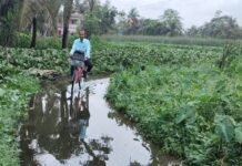 সারা বছর জলে ডুবে ক্যানিংয়ের নন্দন পল্লি,উদাস প্রশাসন