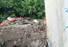 সুন্দরবনে ম্যানগ্রোভ ধ্বংস করে গড়ে উঠছে কংক্রিটের নির্মাণ!প্রশাসন নির্বাক